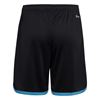 Picture of Argentina 22 Home Shorts
