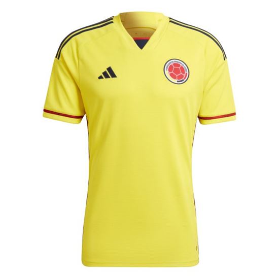 Picture of Colombia 22 Home Jersey