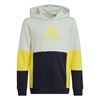 Picture of Colourblock Hoodie