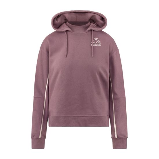 Picture of Delta Hoodie