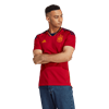 Picture of Spain 22 Home Jersey