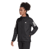 Picture of Own the Run Hooded Running Windbreaker