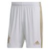 Picture of FC Bayern 22/23 Away Shorts
