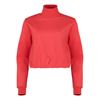 Picture of Tirana Cropped Turtleneck Top