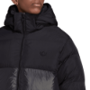 Picture of Down Regen Hooded Puffer Jacket
