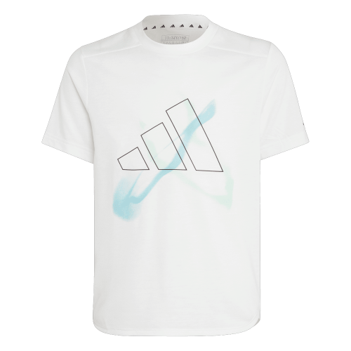 Picture of AEROREADY Graphic T-Shirt