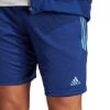 Picture of Tiro Shorts