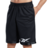 Picture of Basketball Mesh Shorts