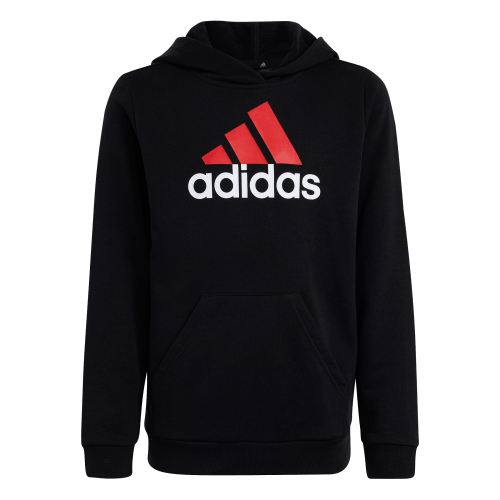 Picture of Essentials Two-Colored Big Logo Cotton Hoodie