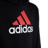 Picture of Essentials Two-Colored Big Logo Cotton Hoodie