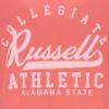 Picture of Alabama State T-Shirt