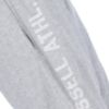 Picture of Vertical Logo Shorts 