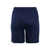 Picture of Bialogard Track Shorts