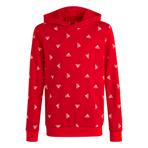 Picture of Brand Love Allover Print Hoodie