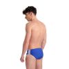 Picture of Icons Swim Briefs
