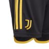 Picture of Juventus 2023/24 Kids Home Shorts