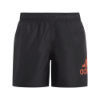 Picture of Logo CLX Swim Shorts
