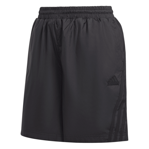 Picture of Future Icons Woven Shorts