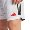 Picture of Manchester United 2023/24 Home Shorts