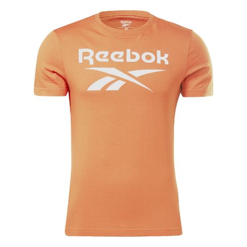 Picture of Reebok Identity Big Logo T-Shirt