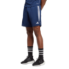 Picture of Tiro 23 Club Training Shorts