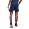 Picture of Tiro 23 Club Training Shorts