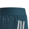 Picture of Two-In-One AEROREADY Woven Shorts