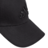 Picture of Big Tonal Logo Baseball Cap
