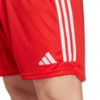 Picture of FC Bayern 23/24 Home Shorts