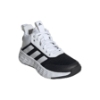 Picture of Ownthegame 2.0 Shoes