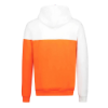 Picture of Colourblock Hoodie