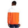 Picture of Colourblock Hoodie
