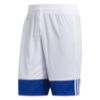 Picture of 3G Speed Reversible Shorts