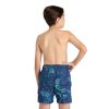 Picture of Printed Junior Swim Shorts