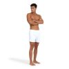 Picture of BywayX Beach Shorts