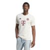 Picture of FC Bayern 23/24 Third Jersey