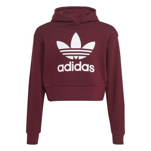 Picture of Adicolor Cropped Hoodie