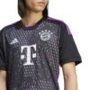 Picture of FC Bayern 23/24 Away Jersey