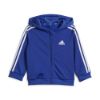 Picture of Essentials Shiny Hooded Tracksuit