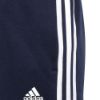 Picture of Junior Tiberio 3-Stripes Colorblock Fleece Tracksuit