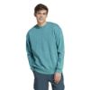 Picture of ALL SZN Long Sleeve Sweatshirt