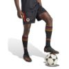 Picture of AS Roma 2023/24 Third Shorts