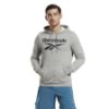 Picture of Identity French Terry Big Logo Hoodie