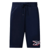Picture of Logo Shorts