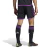 Picture of FC Bayern 2023/24 Away Shorts