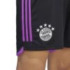 Picture of FC Bayern 2023/24 Away Shorts