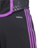 Picture of FC Bayern 2023/24 Away Shorts