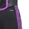 Picture of FC Bayern 23/24 Away Shorts