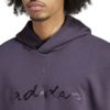 Picture of Appliqué Hoodie