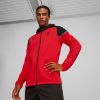 Picture of AC Milan Football Casuals Hooded Jacket